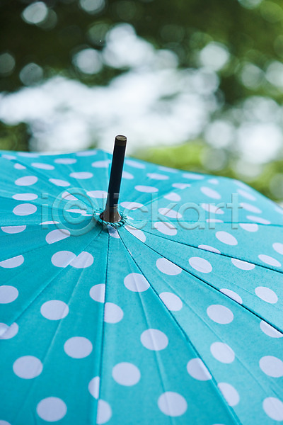사람없음 JPG 근접촬영 아웃포커스 포토 날씨 비(날씨) 야외 우산 자연 장마 주간 풍경(경치) 환경 흐림