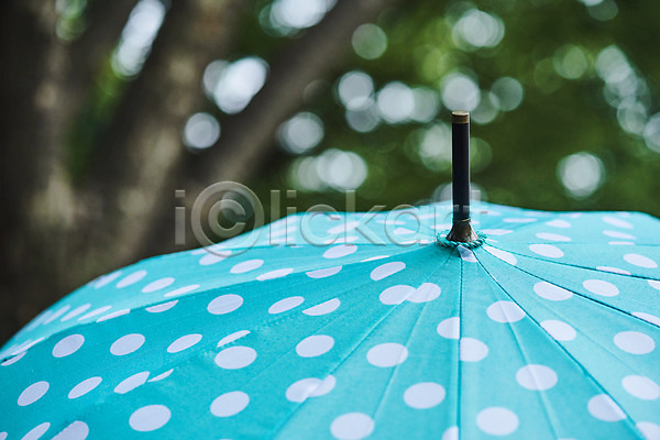 사람없음 JPG 근접촬영 아웃포커스 포토 나무 날씨 비(날씨) 야외 우산 자연 장마 주간 풍경(경치) 환경 흐림