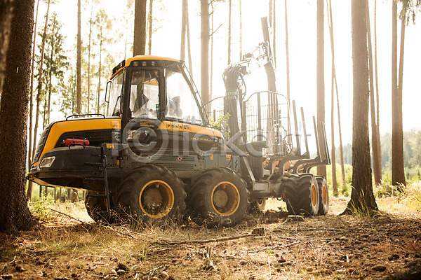 40대 남자 사람 서양인 중년 중년남자한명만 한명 JPG 포토 나무 벌목 벌목작업 숲 앉기 야외 임업 자르기 주간 체코 포크레인