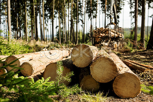 사람없음 JPG 포토 나무 목재 벌목 벌목작업 숲 슬라이스 야외 임업 주간 체코 통나무 포크레인