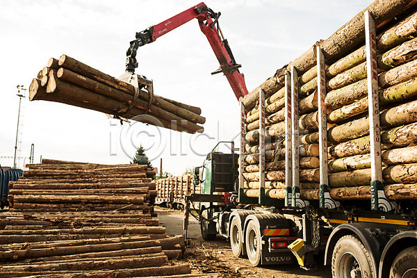 사람없음 JPG 포토 나무 목재 벌목 벌목작업 숲 야외 운반 임업 주간 체코 포크레인