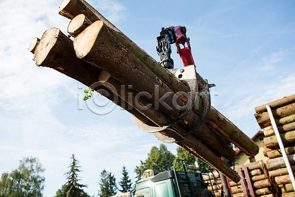 사람없음 JPG 포토 나무 목재 벌목 벌목작업 숲 야외 운반 임업 주간 체코 포크레인