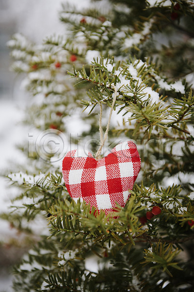 사랑 즐거움 사람없음 JPG 근접촬영 아웃포커스 포토 겨울 겨울풍경 나무 눈(날씨) 야외 오브젝트 주간 하트
