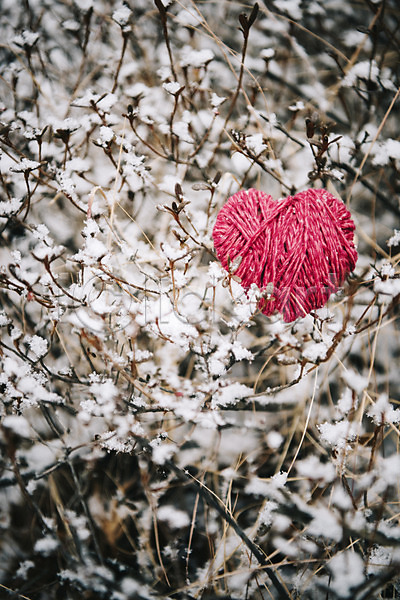 사랑 즐거움 사람없음 JPG 포토 겨울 겨울풍경 나무 눈(날씨) 야외 오브젝트 주간 하트