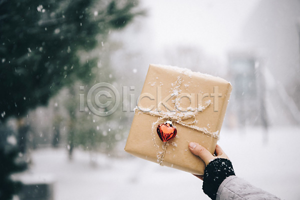 사랑 즐거움 신체부위 JPG 아웃포커스 포토 겨울 겨울풍경 나무 눈(날씨) 들기 선물상자 손 야외 오브젝트 주간 하트
