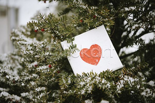 사랑 즐거움 사람없음 JPG 포토 겨울 겨울풍경 나무 눈(날씨) 액자 야외 오브젝트 주간 하트