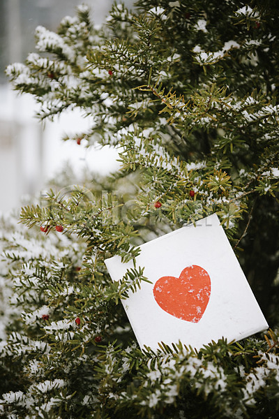 사랑 즐거움 사람없음 JPG 포토 겨울 겨울풍경 나무 눈(날씨) 액자 야외 오브젝트 주간 하트