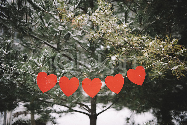사랑 즐거움 사람없음 JPG 포토 가랜드 겨울 겨울풍경 나무 눈(날씨) 야외 오브젝트 주간 하트