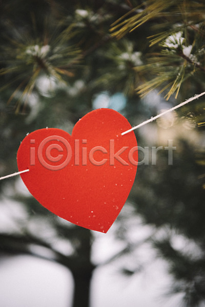 사랑 즐거움 사람없음 JPG 아웃포커스 포토 겨울 겨울풍경 나무 눈(날씨) 야외 오브젝트 주간 하트