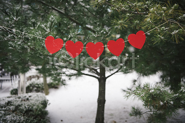 사랑 즐거움 사람없음 JPG 포토 가랜드 겨울 겨울풍경 나무 눈(날씨) 야외 오브젝트 주간 하트