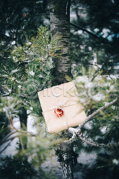사랑 즐거움 사람없음 JPG 아웃포커스 포토 겨울 겨울풍경 나무 눈(날씨) 선물상자 야외 오브젝트 주간 하트