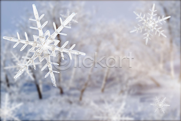 사람없음 3D PSD 디지털합성 편집이미지 겨울 겨울풍경 계절백그라운드 그래픽 나무 눈(날씨) 눈꽃 눈꽃무늬 눈송이 백그라운드 야외 주간 편집소스 풍경(경치)