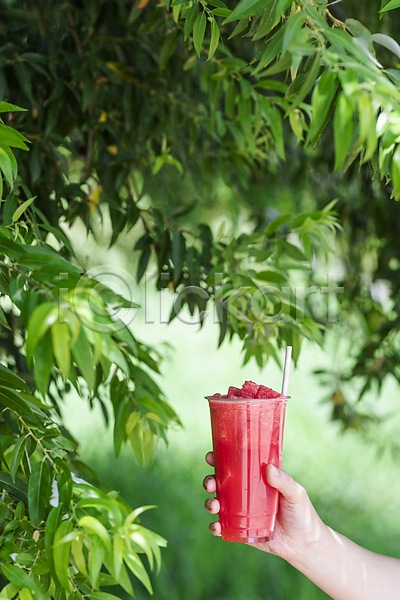 신체부위 JPG 아웃포커스 포토 나뭇잎 냉음료 들기 메뉴 빨대 손 수박 수박주스 야외 여름(계절) 여름음식 제철과일 주간 카페 플라스틱컵