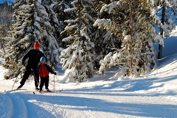 두명 어린이 JPG 포토 해외이미지 가족 노르웨이 라이프스타일 맑음 산 숲 스칸디나비아 스키 스포츠 아빠 야외 여름(계절) 운동 햇빛 휴가 흰색