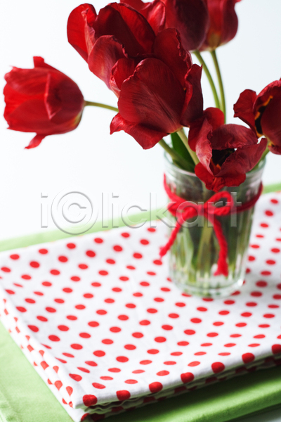 사람없음 JPG 포토 해외이미지 꽃 꽃다발 꽃병 냅킨 놀람 물방울무늬 빨간색 선물 유리 튤립