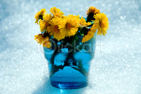 사람없음 JPG 포토 해외이미지 겨울 꽃 꽃다발 꽃무늬 꽃병 노란색 물 봄 유리 자르기 장식 태양 파란색