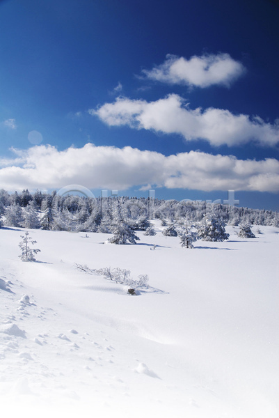 추위 사람없음 JPG 포토 해외이미지 겨울 계절 나무 내추럴 산 세르비아 숲 시골 야외 언덕 유럽 자연 풍경(경치) 하늘 휴가