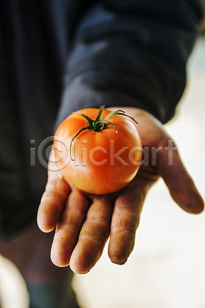 성인 성인한명만 한명 JPG 아웃포커스 포토 들기 완주(지역) 전라북도 토마토 특산물