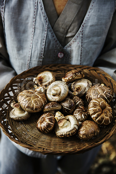사람 한명 JPG 앞모습 포토 들기 상반신 생활한복 소쿠리 식재료 음식 장성 전라남도 표고버섯