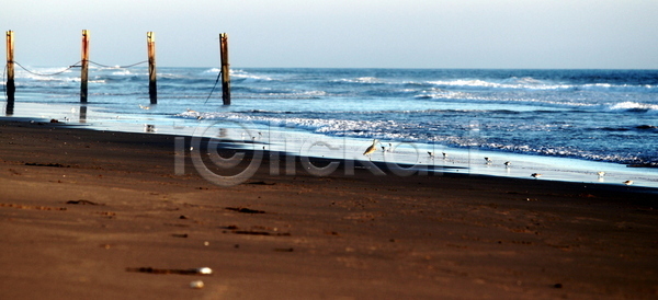 고독 침묵 평화 사람없음 JPG 실루엣 포토 해외이미지 날씨 노란색 맑음 모래 물 바다 반사 백그라운드 뷰티 빛 서핑 수평선 여름 여행 오렌지 울타리 일몰 일출 자연 저녁 조류 추상 컬러풀 태양 파도 파란색 풍경 하늘 해외포토 햇빛 황금 황혼 휴가