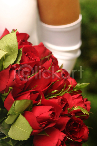 사람없음 JPG 포토 해외이미지 결혼 결혼식 꽃 꽃다발 빨간색 장미 흰색
