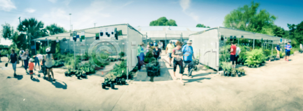 성장 신선 사람 사람없음 JPG 소프트포커스 포토 해외이미지 개화 공원 꽃 꽃무늬 내추럴 냄비 놀이방 농업 농장 모음 벚꽃 봄 비즈니스 상점 세일 시장 식물 야외 온실 원예 유기농 잎 자연 정원 초록색 추상 카트 컨테이너 해외포토