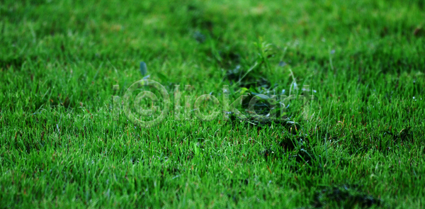 남자 사람없음 JPG 포토 해외이미지 뒤뜰 바퀴 빨간색 생태학 서비스 세로 야외 원예 자르기 작업 잔디 장비 정원 조경 초록색 칼날 해외포토 햇빛 환경