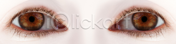 우아함 화려 백인 사람 성인 여자 한명 JPG 포토 해외이미지 1 갈색 건강 관찰 노려봄 눈동자 돌봄 모델 반사 부분 붓꽃 뷰티 빛 섬광 속눈썹 시력 신체 약 얼굴 오픈 유행 응시 피부 해외포토 화장품 흰색
