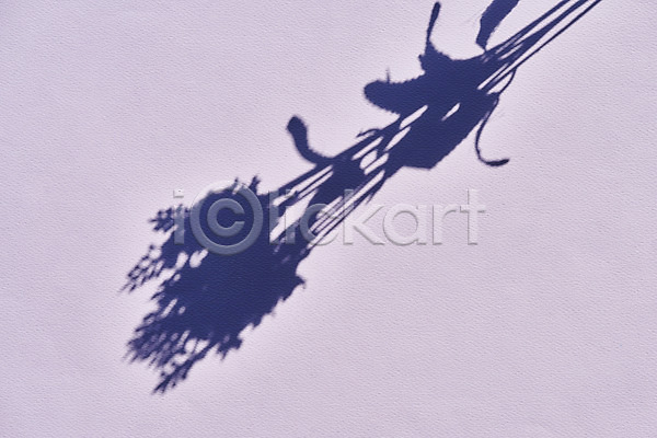 사람없음 JPG 포토 그림자 누끼 몽환 백그라운드 보라색배경 스튜디오촬영 식물 실내 오브젝트 잎