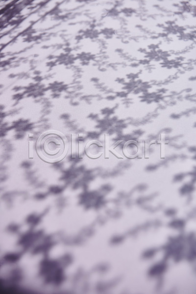 사람없음 JPG 포토 그림자 꽃무늬 누끼 몽환 백그라운드 보라색 스튜디오촬영 실내 오브젝트 커튼