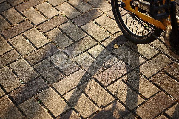 사람없음 JPG 포토 그림자 몽환 바닥 백그라운드 야외 자전거 자전거바퀴 주간