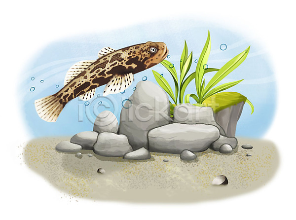 사람없음 PSD 일러스트 독중개 돌(바위) 모래 물방울 수영 수중 어류 조약돌 한마리