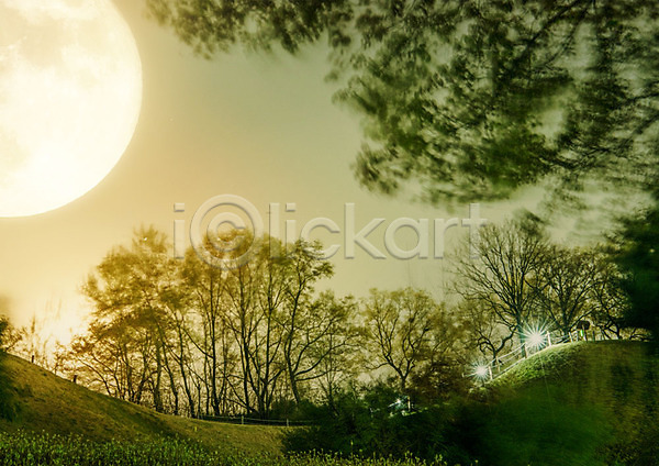 사람없음 PSD 편집이미지 나무 달 달빛 숲 야간 야경 언덕 연두색 자연 잔디 풍경(경치)
