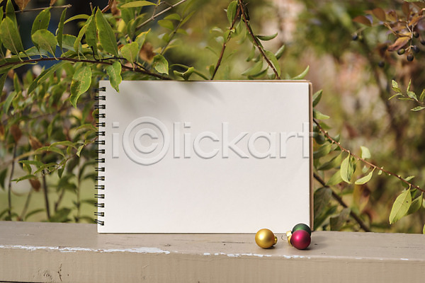설레임 휴식 사람없음 JPG 포토 겨울 벤치 스케치북 식물 야외 오브젝트 장식볼 주간 크리스마스 크리스마스용품 프레임