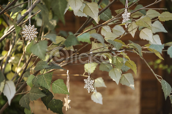 설레임 휴식 사람없음 JPG 아웃포커스 포토 겨울 나무 나뭇잎 눈송이 모형 야외 오브젝트 주간 크리스마스 크리스마스용품