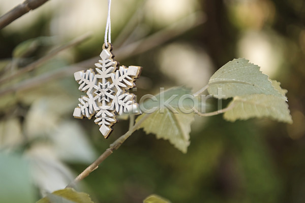 설레임 휴식 사람없음 JPG 포토 겨울 나무 나뭇잎 눈송이 모형 야외 오브젝트 주간 크리스마스 크리스마스용품