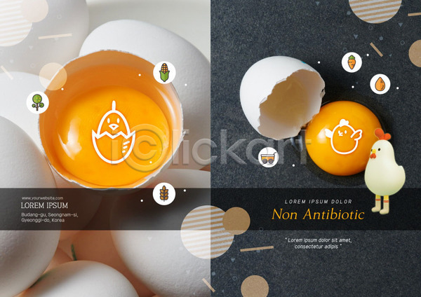 신선 사람없음 PSD 템플릿 계란 계란껍데기 노른자 닭 닭캐릭터 리플렛 북디자인 북커버 비즈니스 유기농 출판디자인 팜플렛 편집 표지 표지디자인