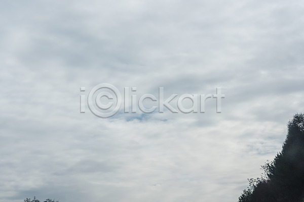 사람없음 JPG 포토 구름(자연) 나무 도로 드라이브 안전운전 야외 운전 자동차 주간 차안 풍경(경치) 하늘