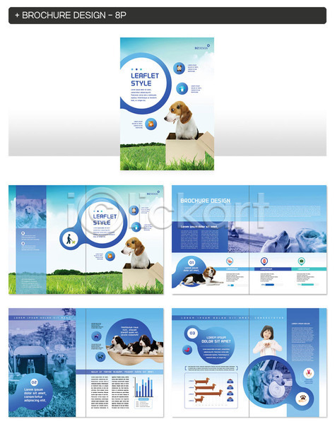 산책 사람 어린이 한국인 INDD ZIP 앞모습 인디자인 템플릿 강아지 개 공원 그래프 리플렛 반려 반려동물 상반신 상자 유기견 유기동물 잔디 파란색 팜플렛