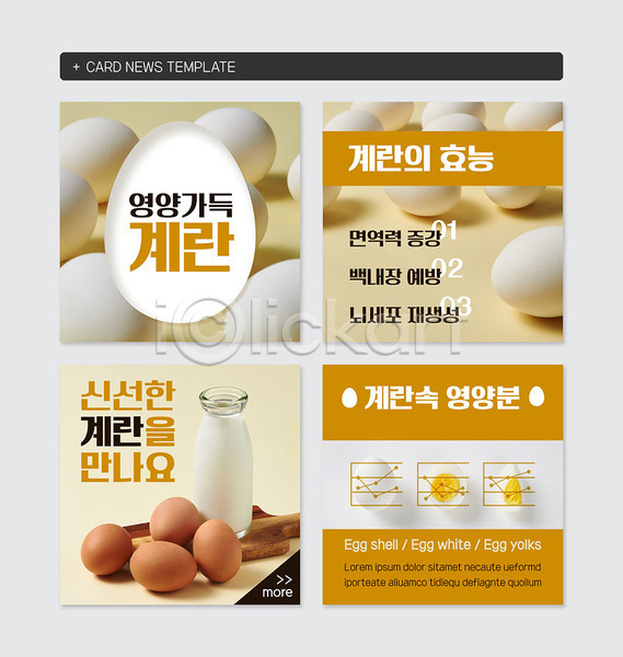 사람없음 PSD 웹템플릿 템플릿 계란 면역력 영양 영양분 우유 카드뉴스