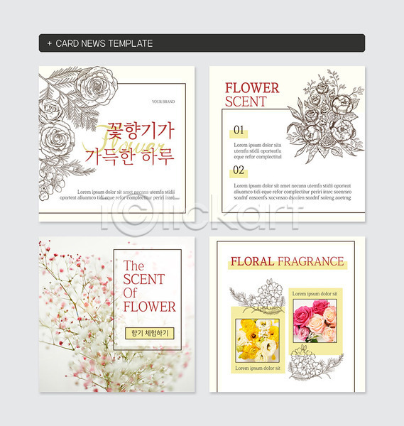 사람없음 PSD 웹템플릿 템플릿 꽃 안개꽃 카드뉴스