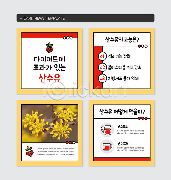 사람없음 PSD 웹템플릿 템플릿 건강 꽃 다이어트 산수유 카드뉴스