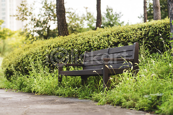 휴식 사람없음 JPG 포토 공원 기다림 나무 벤치 야외 여름(계절) 의자 주간 풍경(경치) 휴식처