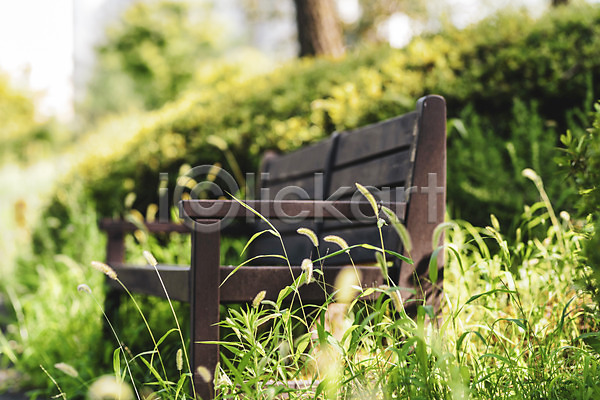 휴식 사람없음 JPG 근접촬영 아웃포커스 포토 강아지풀 공원 기다림 벤치 야외 여름(계절) 의자 주간 풍경(경치) 휴식처