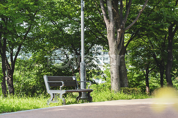 휴식 사람없음 JPG 포토 가로등 공원 기다림 나무 벤치 야외 여름(계절) 의자 주간 풍경(경치) 휴식처