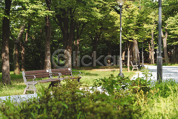 휴식 사람없음 JPG 포토 가로등 공원 기다림 벤치 야외 여름(계절) 의자 주간 풀(식물) 풍경(경치) 휴식처