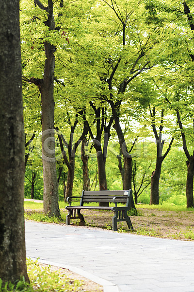 휴식 사람없음 JPG 포토 공원 기다림 나무 벤치 산책로 야외 여름(계절) 의자 주간 풍경(경치) 휴식처