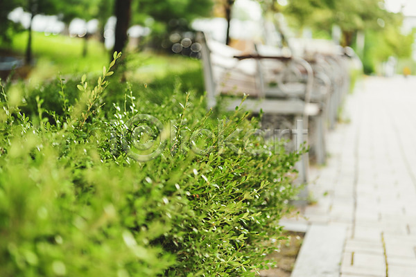 휴식 사람없음 JPG 아웃포커스 포토 거리 기다림 벤치 야외 여름(계절) 의자 주간 풀(식물) 풍경(경치) 휴식처