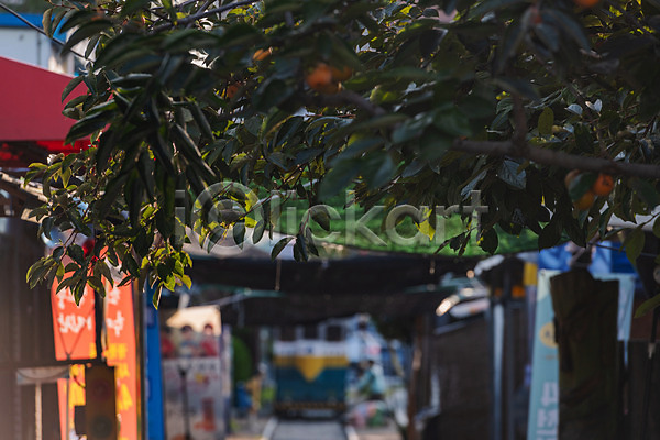 사람없음 JPG 근접촬영 아웃포커스 포토 가을(계절) 경암동 관광지 국내여행 군산 나무 나뭇잎 야외 주간 철길마을 풍경(경치)