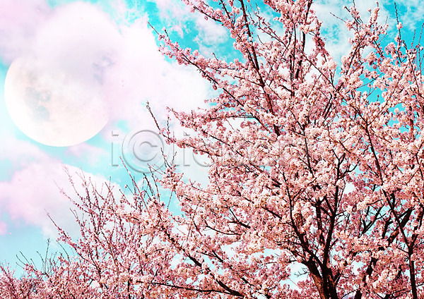 화려 사람없음 PSD 편집이미지 구름(자연) 달 백그라운드 벚꽃 벚나무 봄 봄풍경 분홍색 자연 카피스페이스 풍경(경치) 하늘